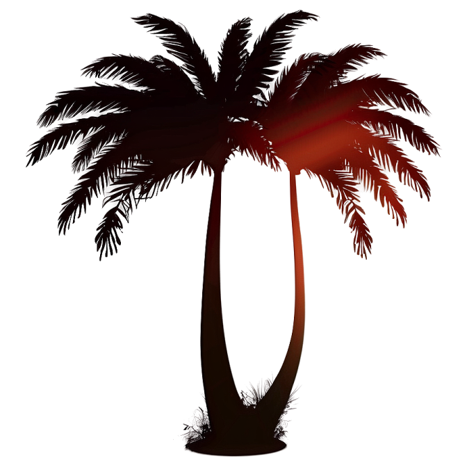a silhouette of a palm tree on a white background