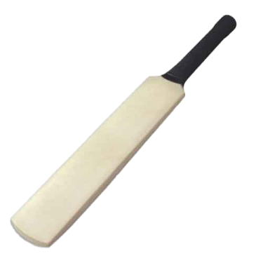 a cricket bat on a white background