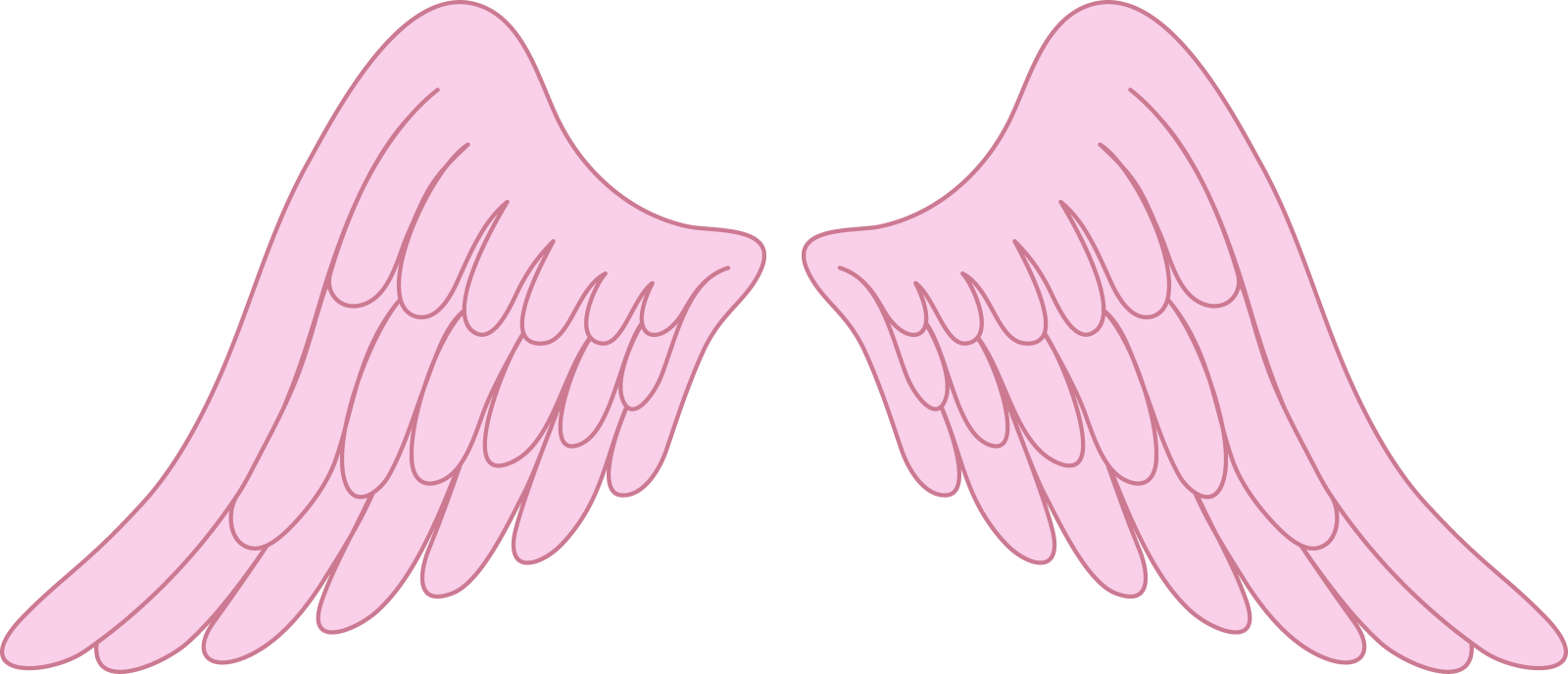 a pair of pink angel wings