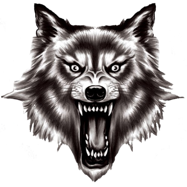 a black and white drawing of a snarl wolf