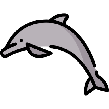 a dolphin jumping out of the water