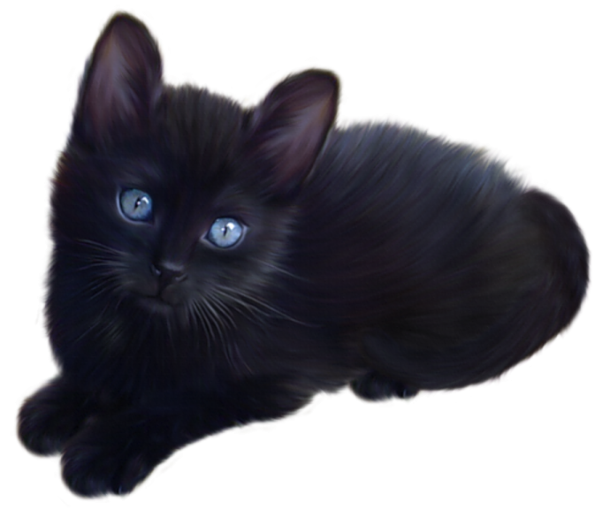 a black kitten with blue eyes laying down