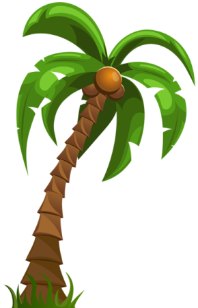 a palm tree with green leaves