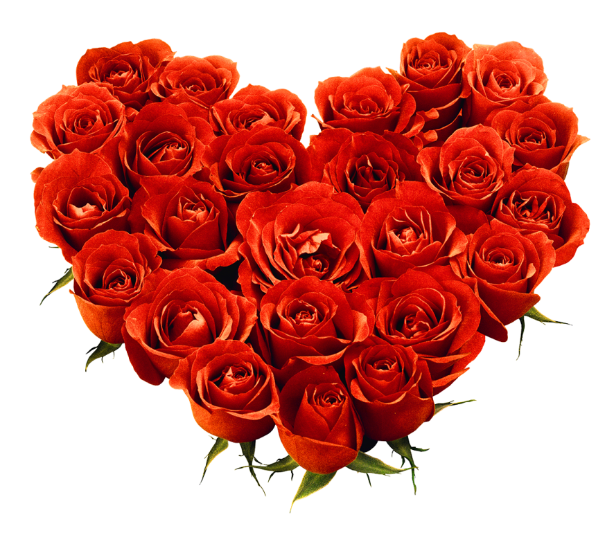 red roses in the shape of a heart