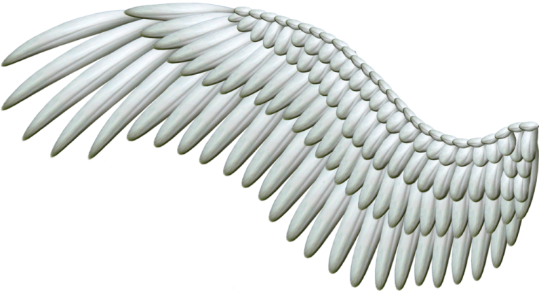 an image of a white angel wing