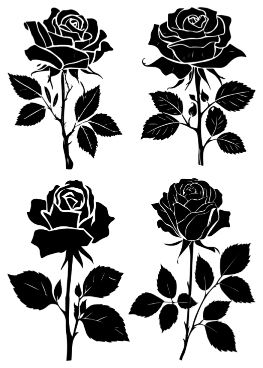 a set of black roses on white background