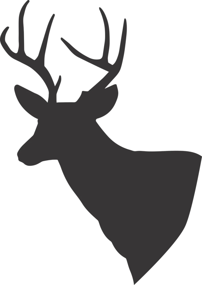 a deer head silhouetted on a white background