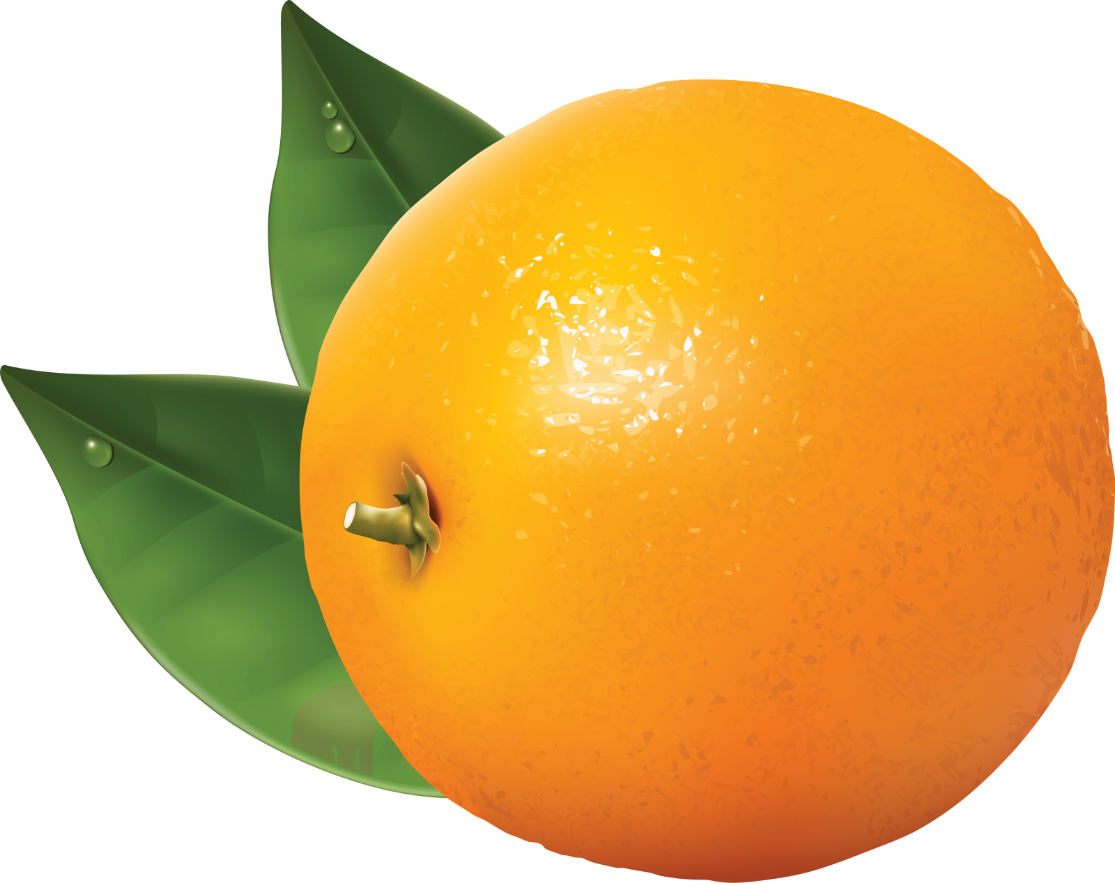 an orange with a leaf on it