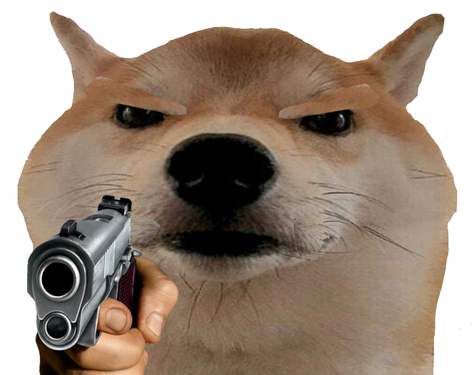 a dog with a gun in its mouth
