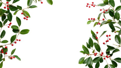 a branch with red berries and green leaves