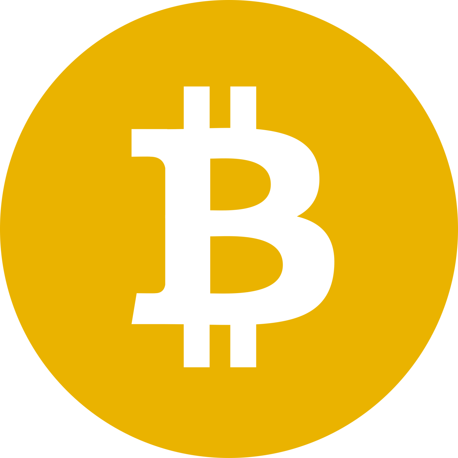 the bitcoin logo