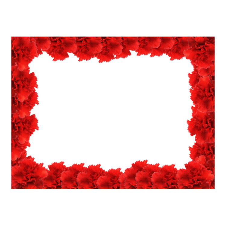 a white background with red flowers and leaves