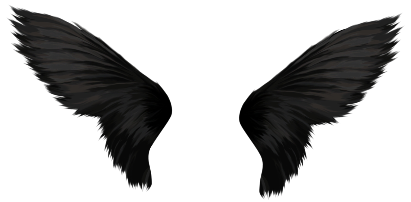 a pair of wings on a white background