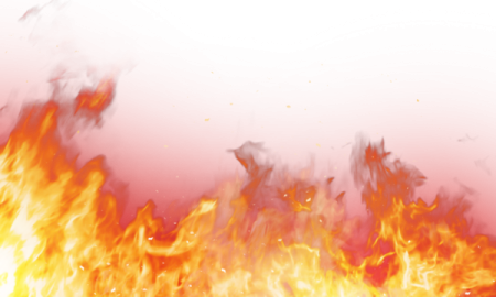 fire on a white background