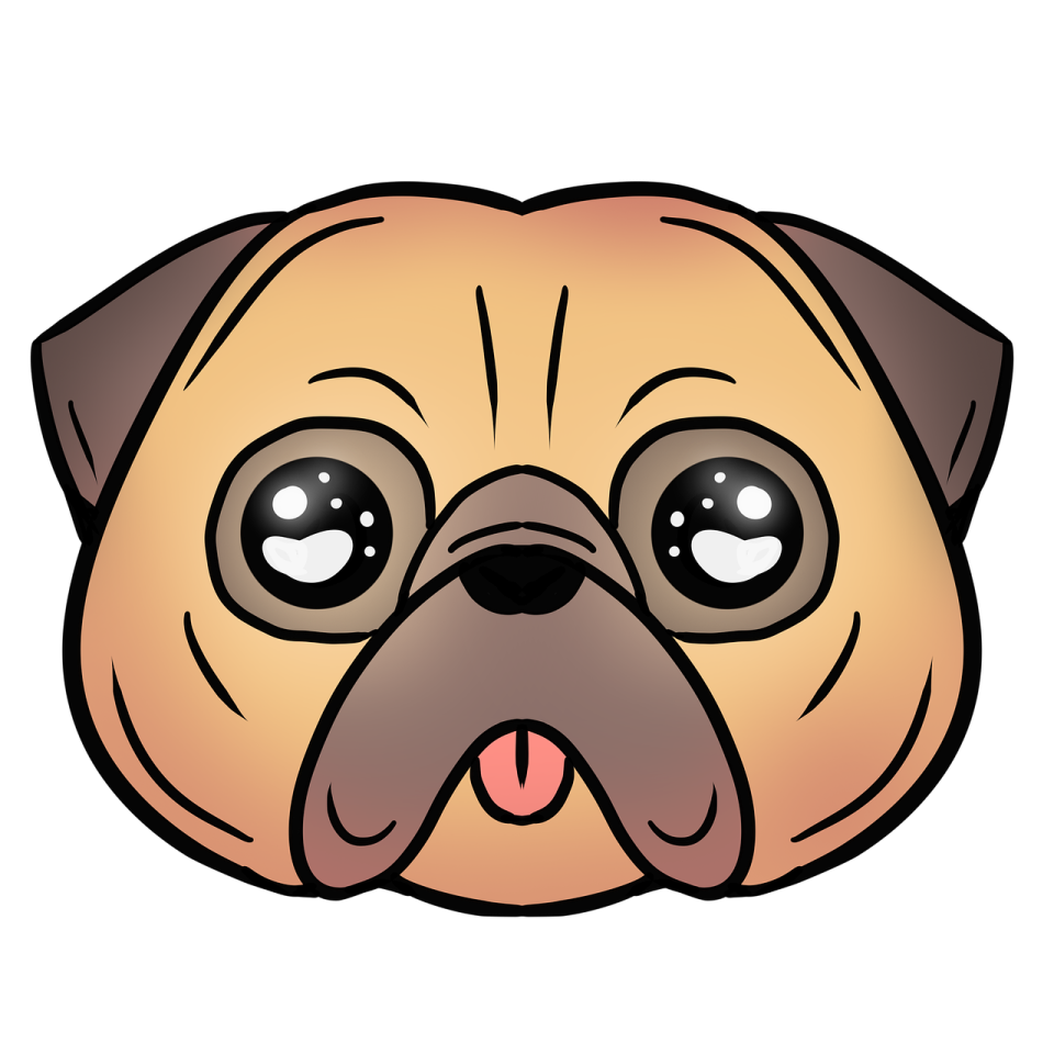 a cartoon pug face with big eyes