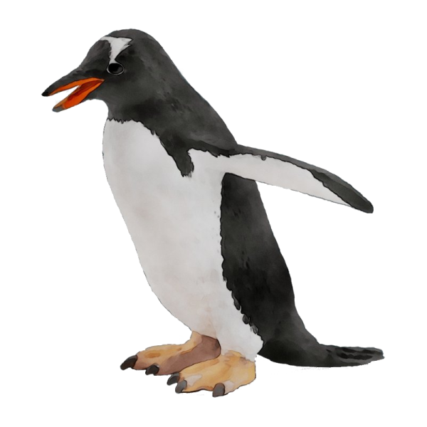 an illustration of a penguin on a white background
