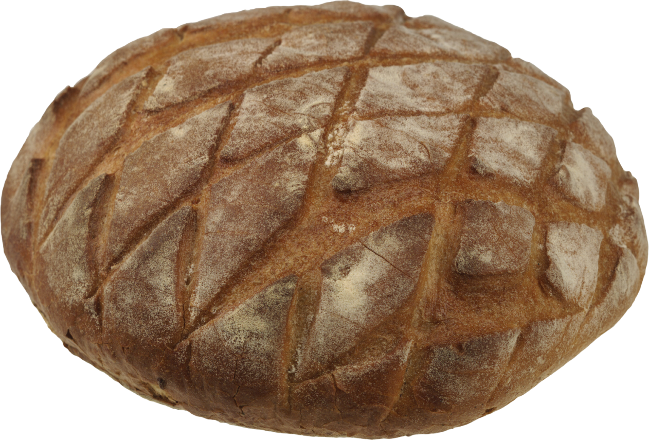 a loaf of bread on a white background