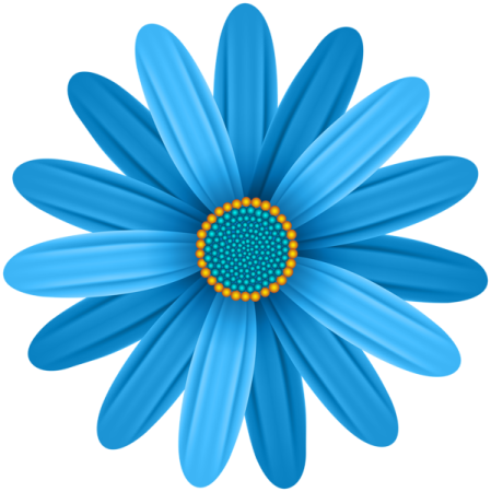 a blue flower on a white background