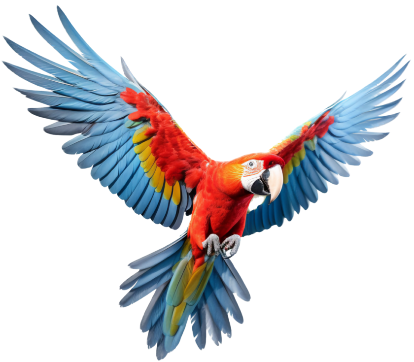 a blue and yellow parrot flying in the air