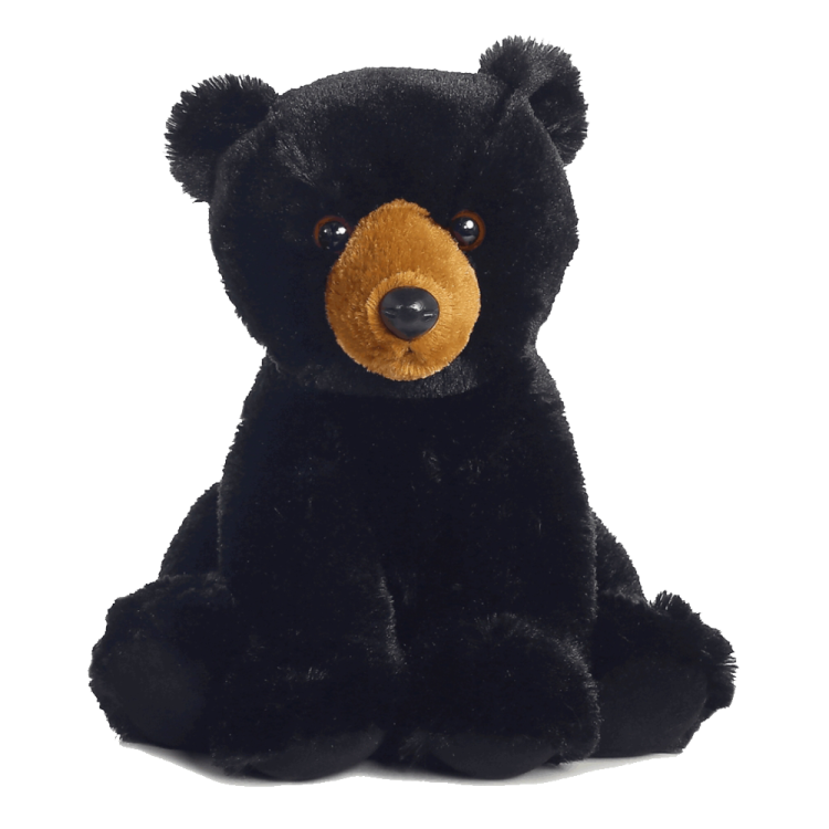 a black teddy bear sitting on a white background