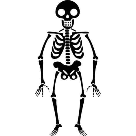 a black and white image of a skeleton