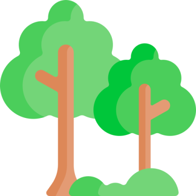two trees with green leaves
