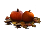 two small pumpkins sitting on top of leaves