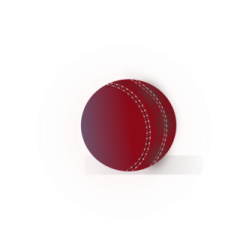 a red cricket ball on a white background