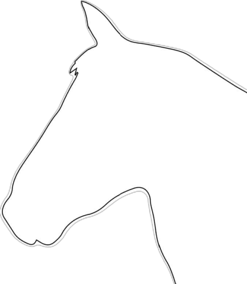 how to draw a horse head