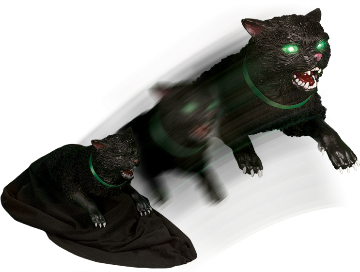 a black cat with green eyes