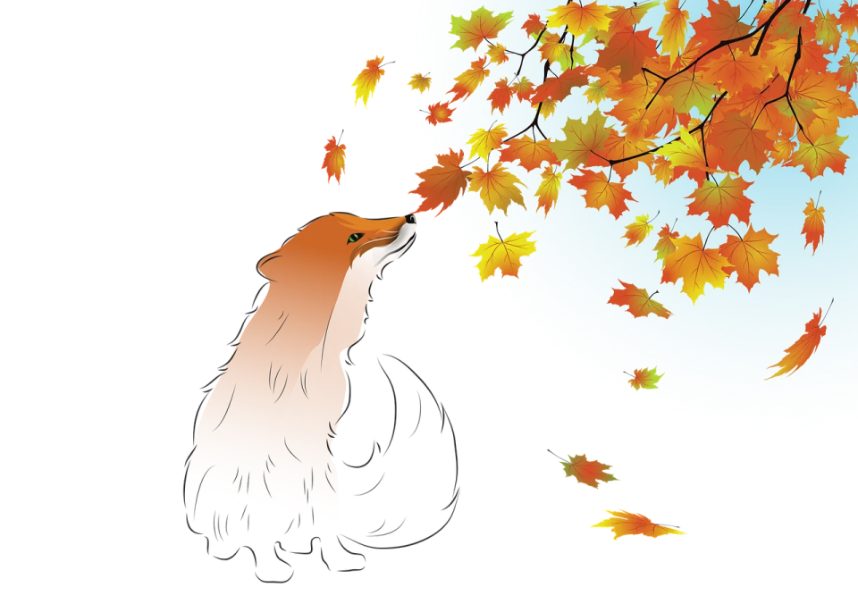 a dog sitting under a tree with autumn leaves