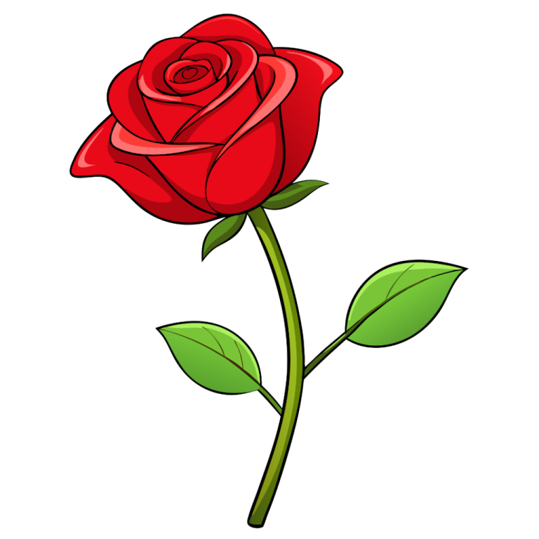 a red rose with green leaves
