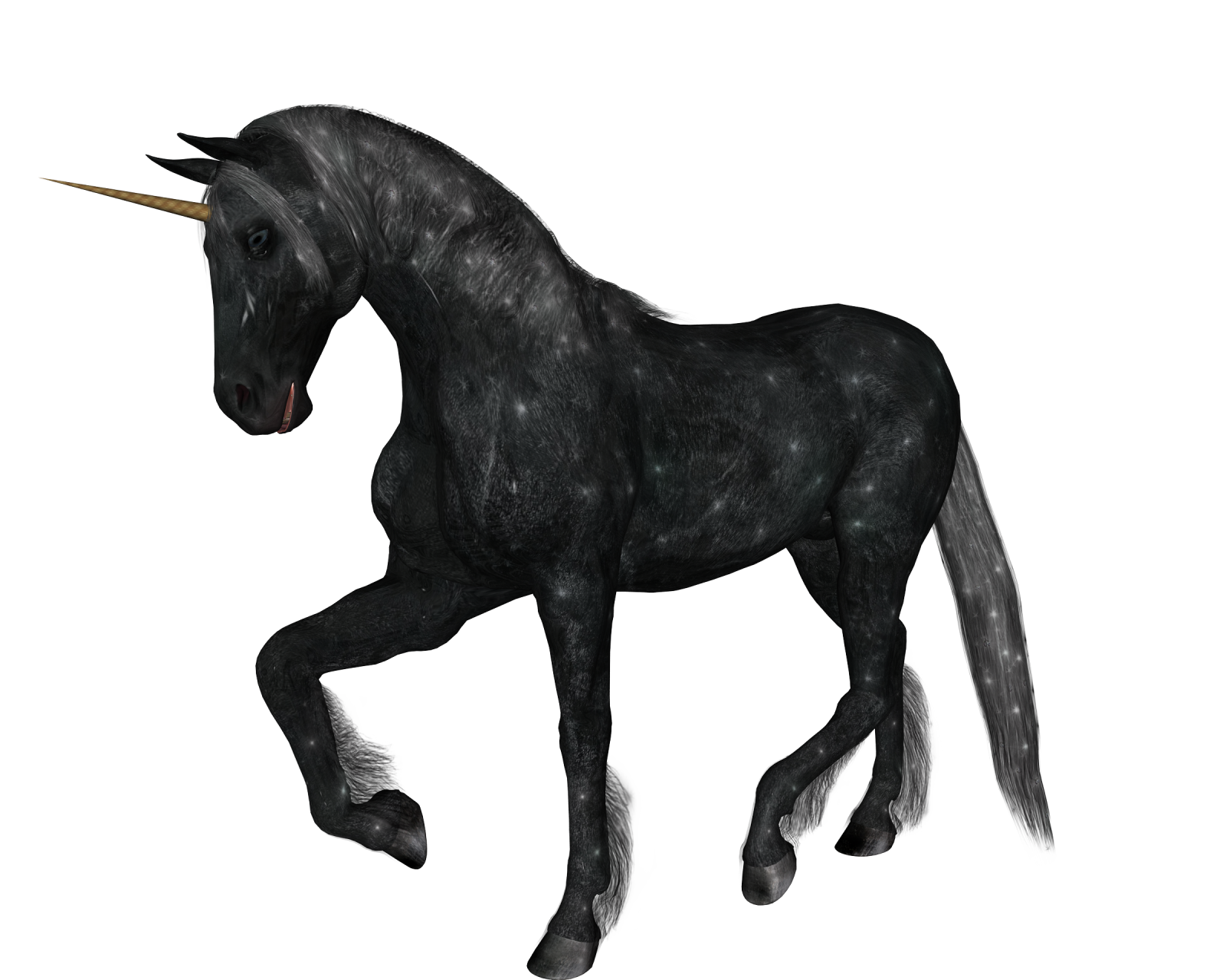 a black unicorn standing on its hinds