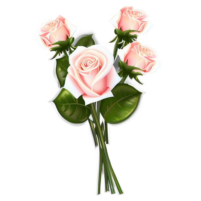 three pink roses on a white background