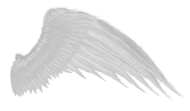 a drawing of an angel wing