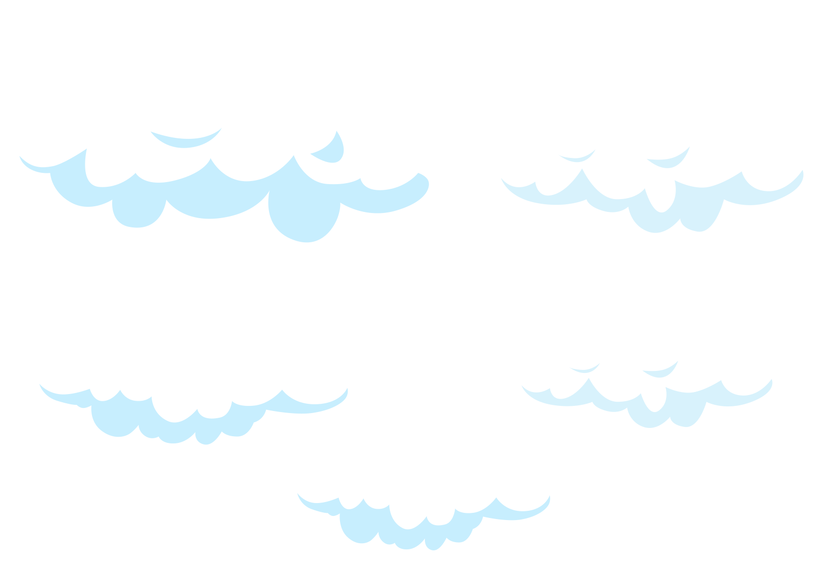 a group of birds flying in the sky