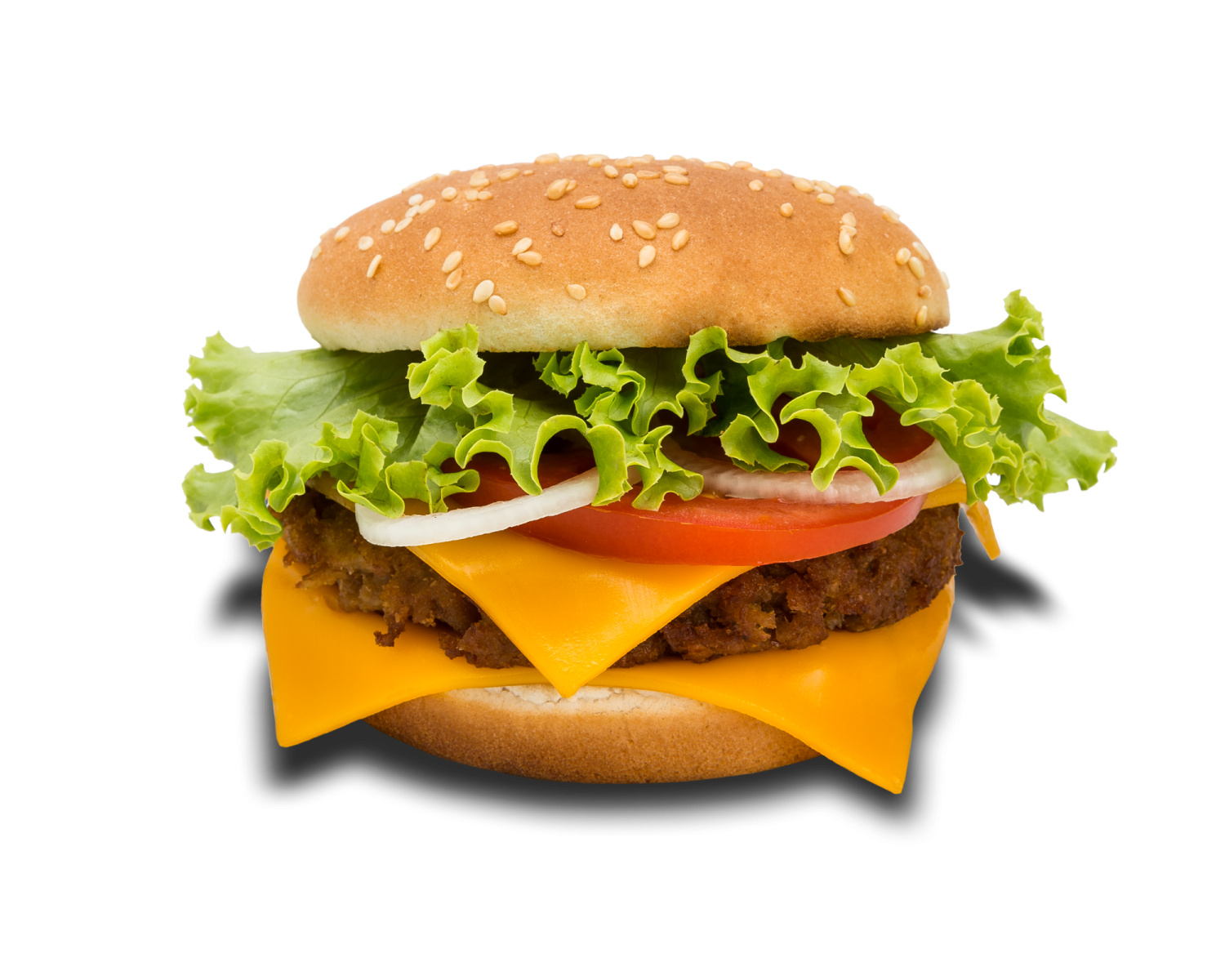 a hamburger on a white background