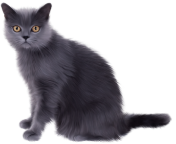 a black cat with yellow eyes sitting down