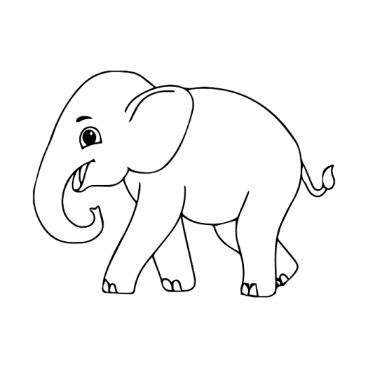 how to draw an elephant