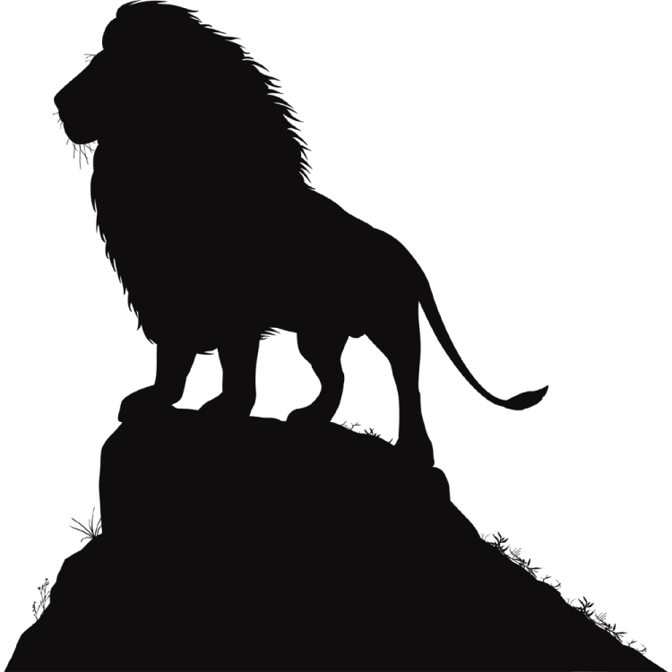 a silhouette of a lion standing on a hill