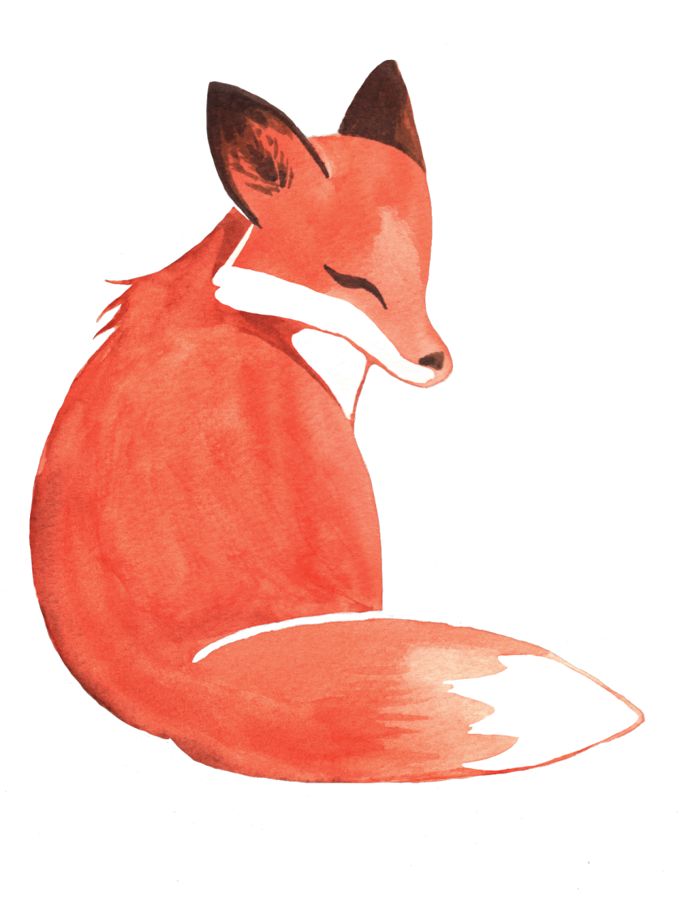 a watercolor painting of a red fox