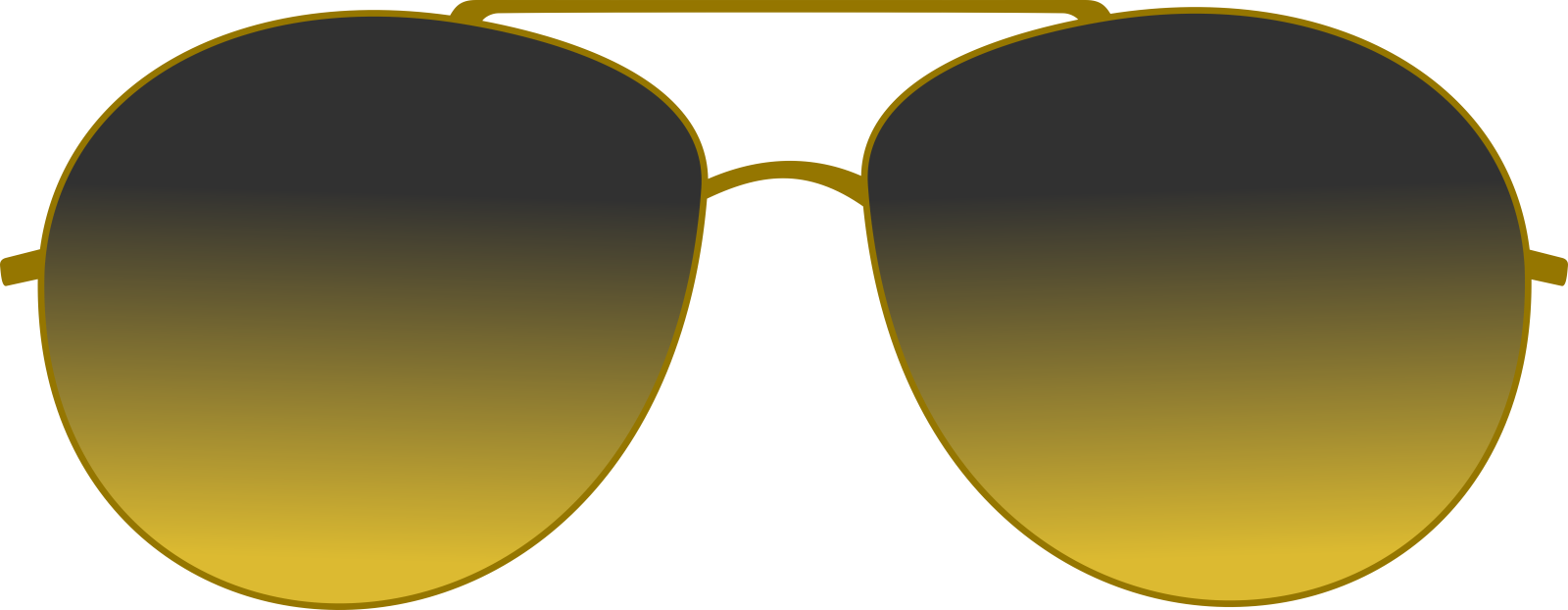 a pair of sunglasses