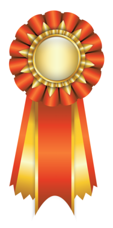 a red and gold ribbon with a white background
