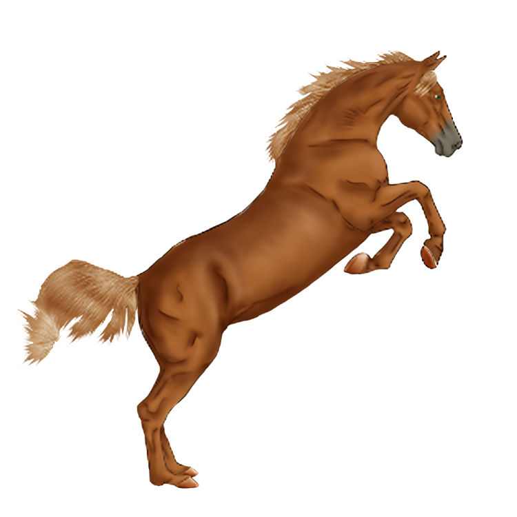 a brown horse is jumping in the air