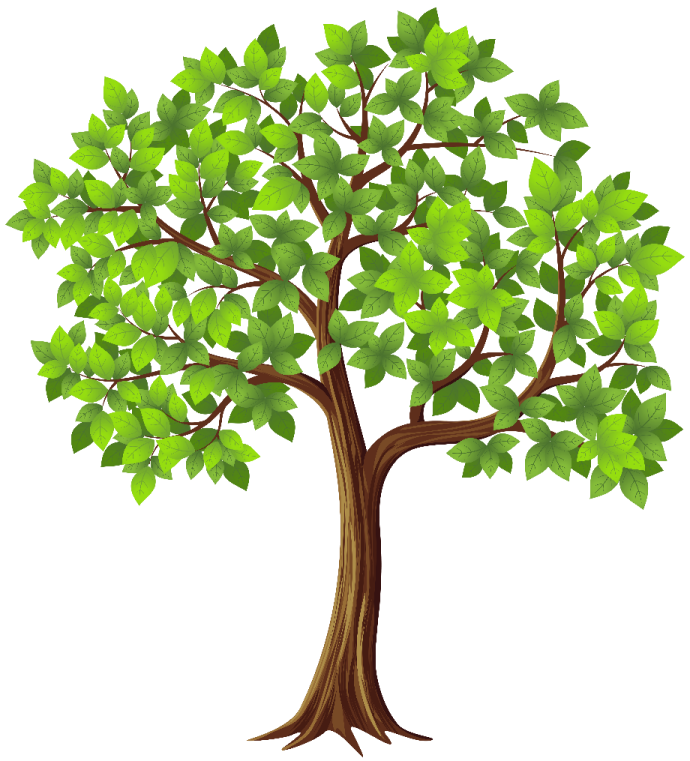 a tree with green leaves