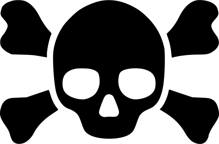 a skull and crossbones icon