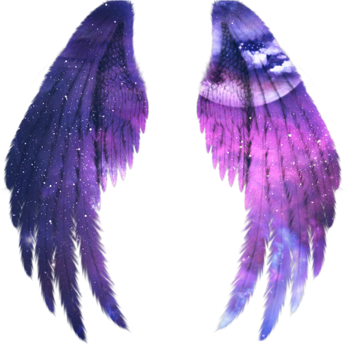 two purple and blue feathers with stars on them