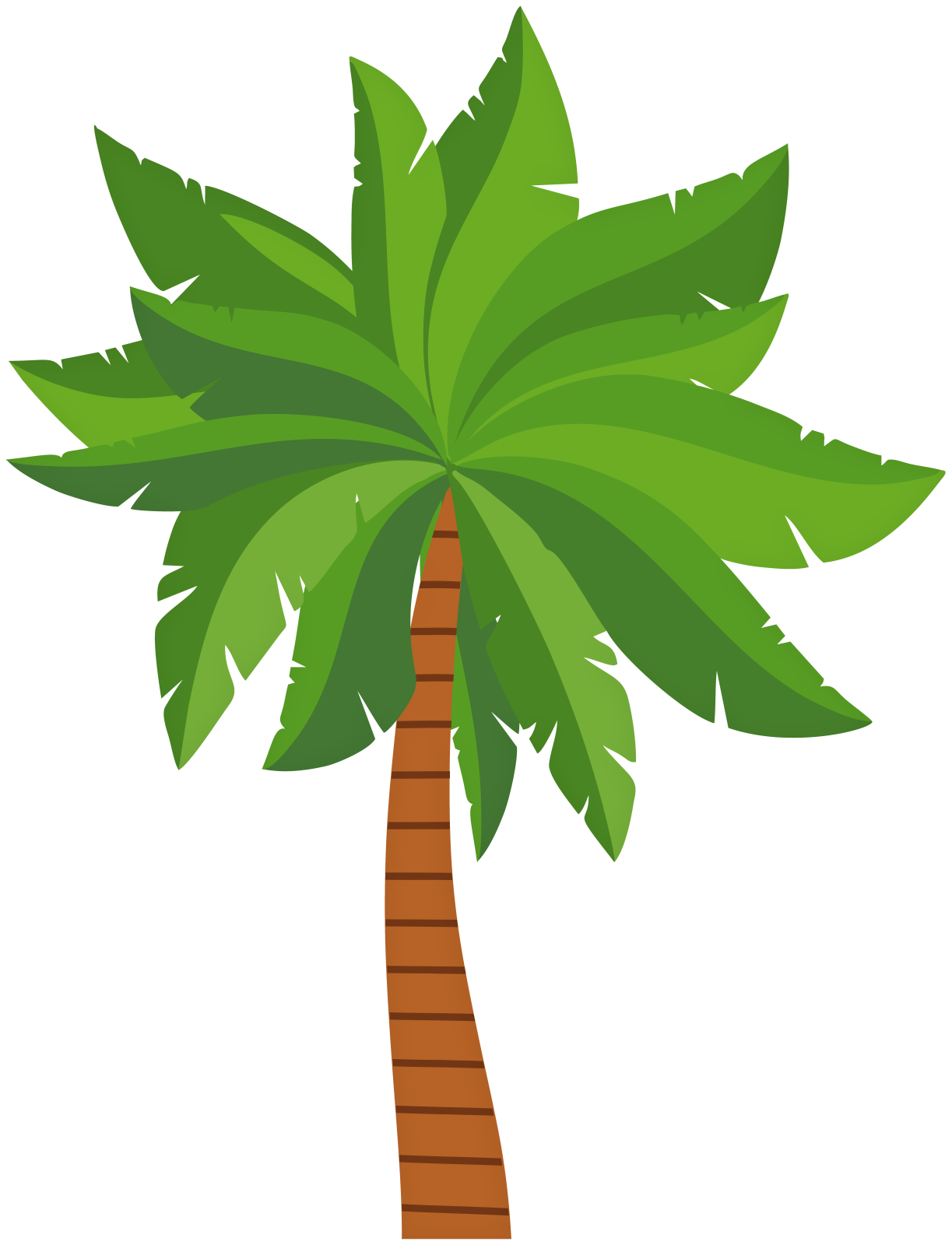 a palm tree