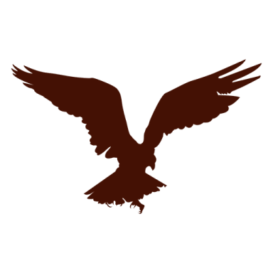an eagle silhouetted on a white background