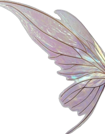 a white and purple butterfly wing